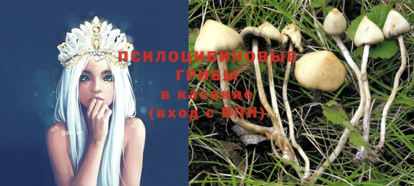 эйфоретик Заводоуковск
