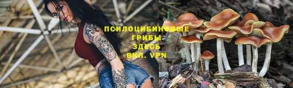 ГАЛЛЮЦИНОГЕННЫЕ ГРИБЫ Кукмор
