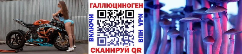 купить   Котельниково  Псилоцибиновые грибы прущие грибы 